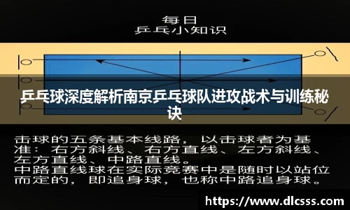 乒乓球深度解析南京乒乓球队进攻战术与训练秘诀