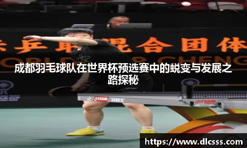 成都羽毛球队在世界杯预选赛中的蜕变与发展之路探秘