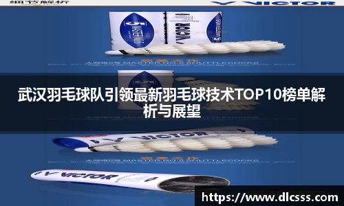 武汉羽毛球队引领最新羽毛球技术TOP10榜单解析与展望